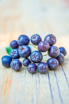 Aronia berry