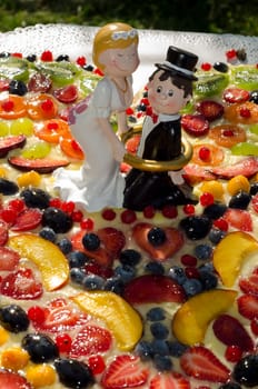 bride and groom on a fruit cake