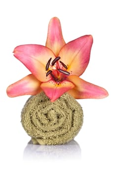 Lily and towel on white background. Spa concept. Macro shot