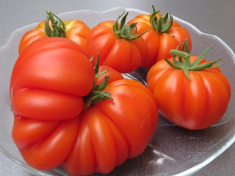 Tomato - Costoluto fiorentino