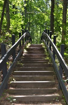 steps going  up into the forest