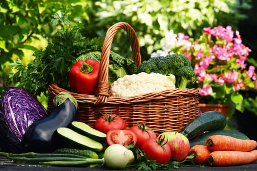 Fresh organic vegetables in the garden