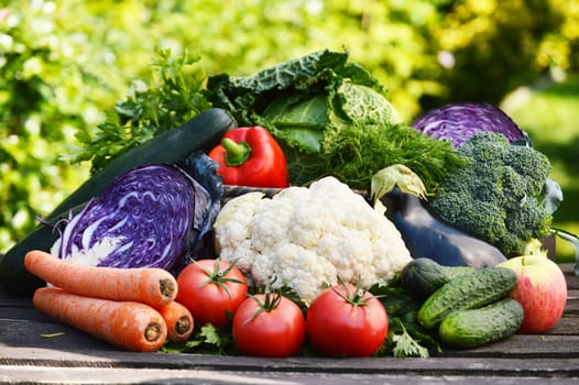 Fresh organic vegetables in the garden
