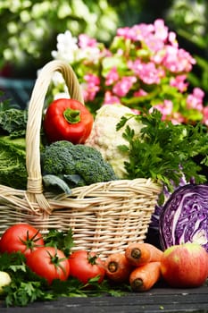 Fresh organic vegetables in the garden