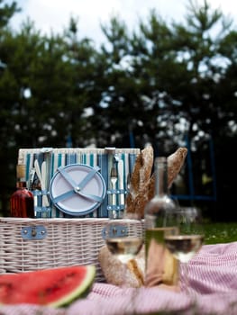 Picnic basket on green lawn