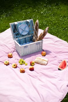 Picnic basket on green lawn
