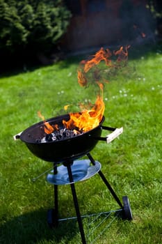 Grilling meat in flames, tasty dinner