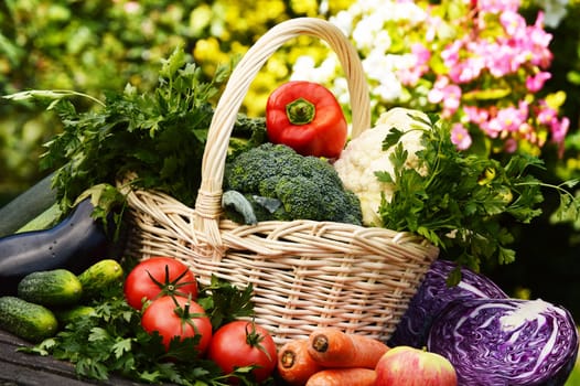 Fresh organic vegetables in the garden
