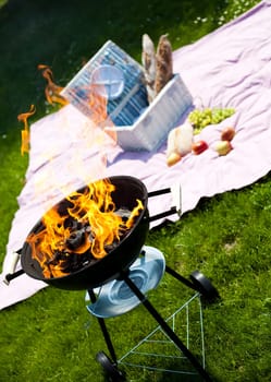 Picnic, Grilling time, Grill