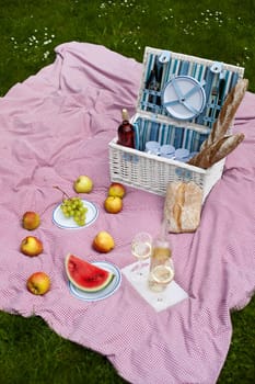 Picnic basket on green lawn