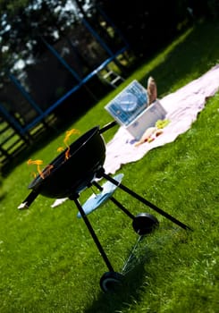 Picnic, Grilling time, Grill
