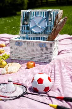 Picnic basket on green lawn