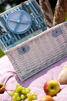 Picnic