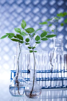 Laboratory glassware