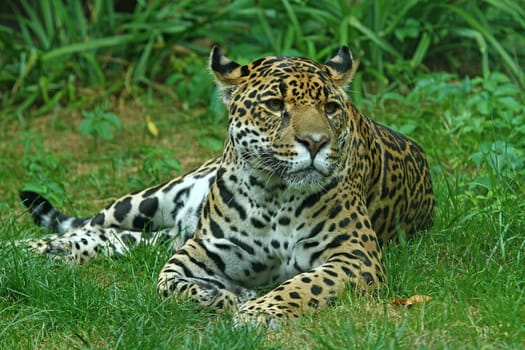 Relax