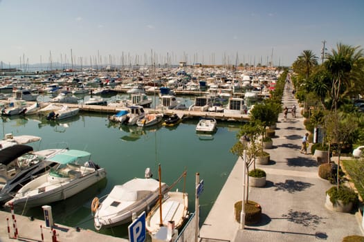 Marina in Alcudia in Mallorca