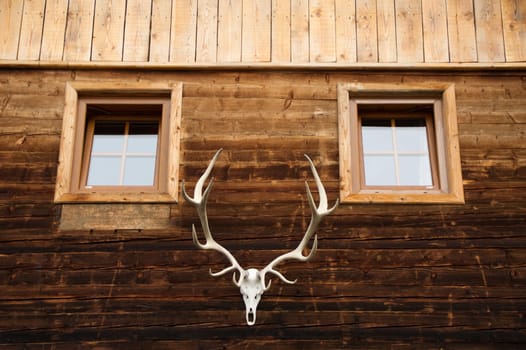Walk past a rustic wooden hut