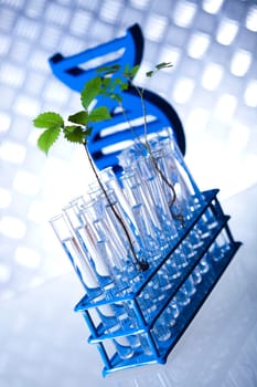 Experimental plant
