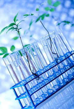 Experimental plant