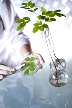 Biotechnology