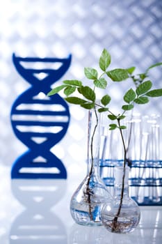 Experimental plant
