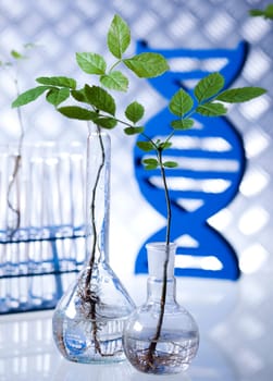 Biotechnology