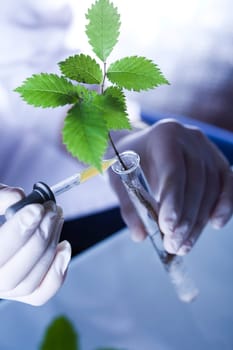 Laboratory