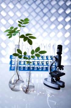 Laboratory