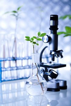 Laboratory
