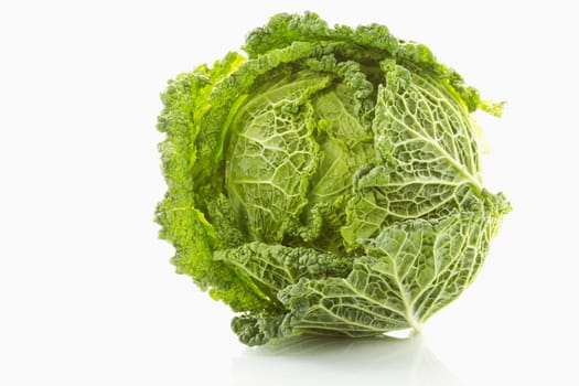 Savoy cabbage