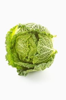 Savoy cabbage