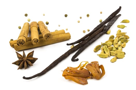 various spices for cooking/baking white background