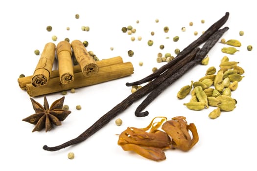 various spices for cooking/baking white background