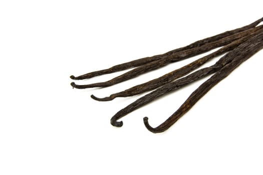 Vanilla pods clippings
