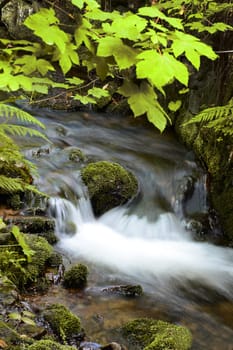 Watercourse