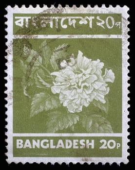 BANGLADESH - CIRCA 1970: Stamp printed in Bangladesh shows flower, circa 1970