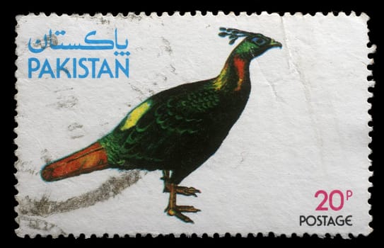 PAKISTAN - CIRCA 1979: stamp printed by Pakistan shows Kalij Pheasant , circa 1979