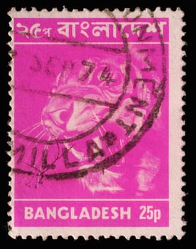 BANGLADESH - CIRCA 1973: Postage stamp printed in Bangladesh, shows a tiger (Panthera tigris), circa 1973