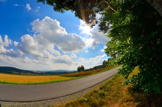 Landscape Field Summer