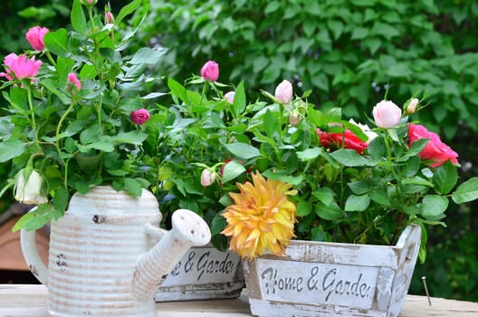 Rose Garden Romantic Flowerpot Pot White