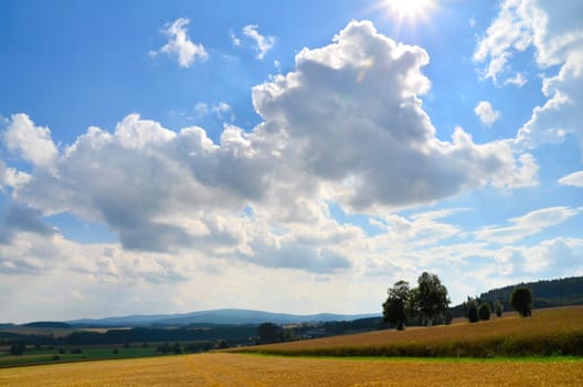 Landscape Field Summer