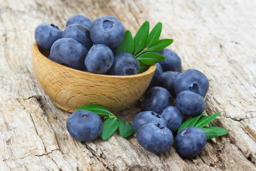 fresh blueberries in a bowl