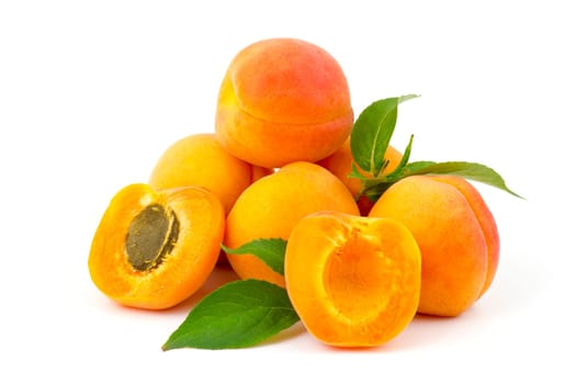 fresh apricots