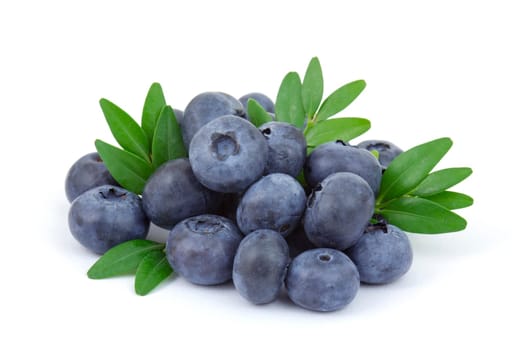 fresh blueberries