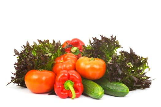 fresh vegetables on white background