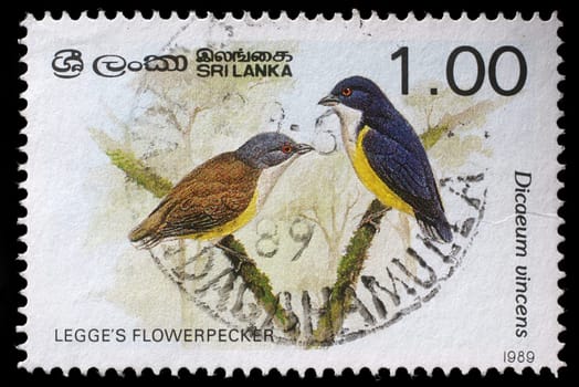 SRI LANKA - Stamp printed in Sri Lanka shows Stamp printed in Sri Lanka shows Legges flowerpecker bird bird, circa 1989