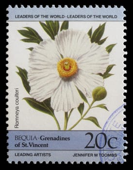 BEQUIA - CIRCA 1985: A stamp printed in Grenadines of St. Vincent shows Romneya coulteri flower, circa 1985