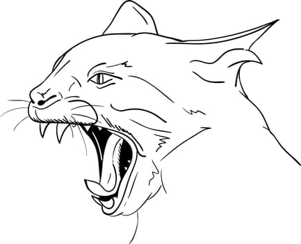 vector - Cat head - open mouth - agressive