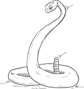 vector - Rattlesnake alert , isolated on background