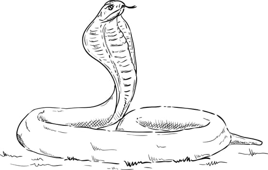 vector - cobra alert , isolated on background